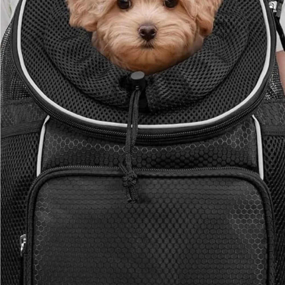 Black Pet Backpack